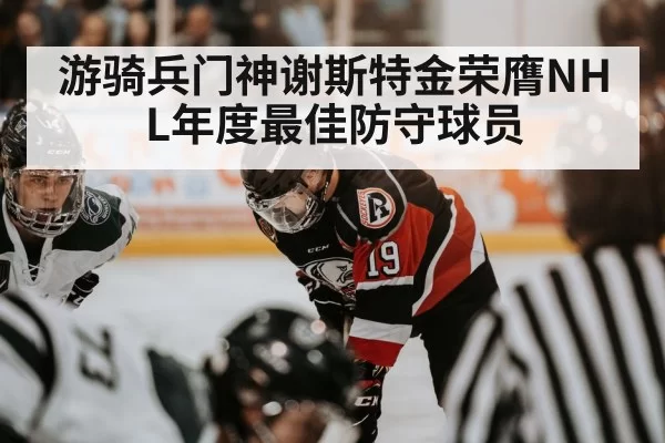 NHL ice hockey action