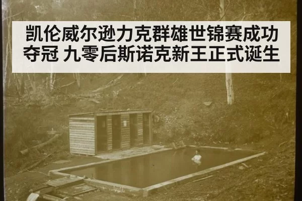 凯伦威尔逊力克群雄世锦赛成功夺冠 九零后斯诺克新王正式诞生
